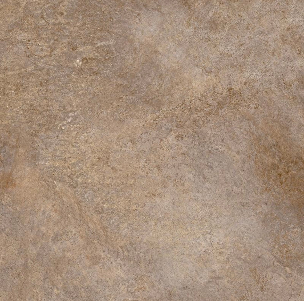Ardasia 60x60