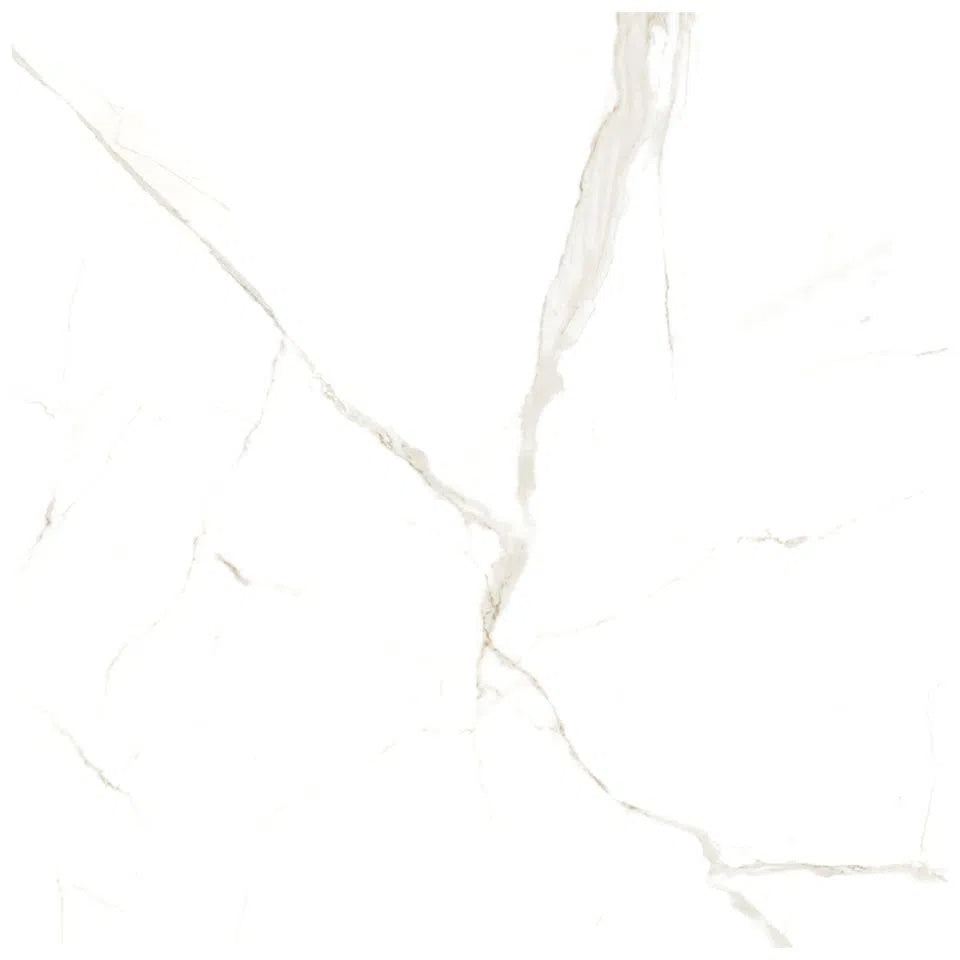 Porcelanato Pulido Brillante 120x120 - Calacatta Calacatta blanco